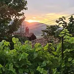 Bujtina Bega Berat
