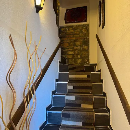 فندق Bujtina Bega بيرات